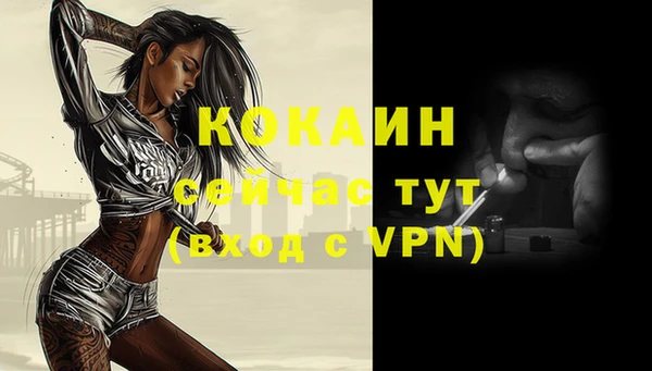 прущие грибы Фурманов
