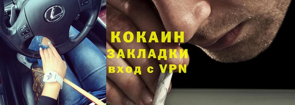 сатива Дмитровск