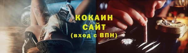 спиды Тайга