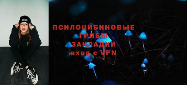 сатива Дмитровск