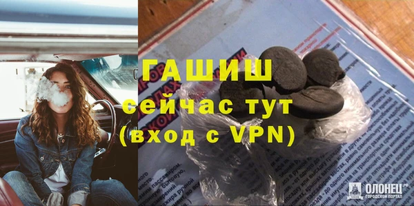 гашик Елизово