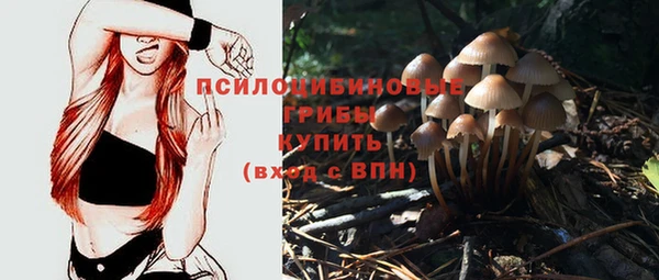 сатива Дмитровск