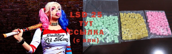 ГАЛЛЮЦИНОГЕННЫЕ ГРИБЫ Тихвин