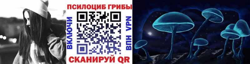 где найти наркотики  Гурьевск  Галлюциногенные грибы Psilocybine cubensis 