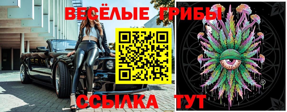 Псилоцибиновые грибы Psilocybine cubensis  Вход с VPN  Гурьевск 